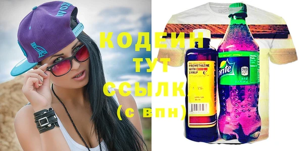 хмурый Сатка
